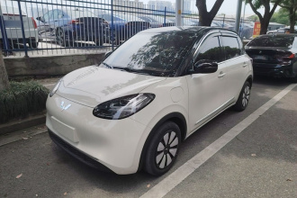 五菱汽车 五菱缤果 2024款 333km 灵犀互联款