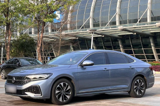 大众 帕萨特 2022款 330TSI 星空精英版 定制版