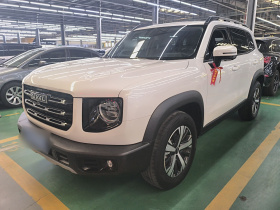 哈弗大狗 2021款 1.5T DCT两驱拉布拉多版