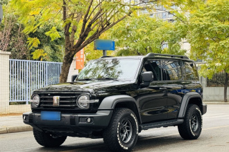 坦克300 2024款 2.0T 征服者