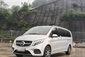 奔驰V级 2021款 V 260 L 长轴距豪华版