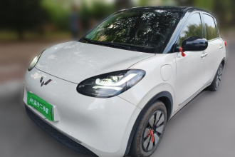 五菱汽车 五菱缤果 2023款 410km 灵犀尊享款