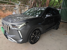 广汽传祺 传祺GS4 PLUS 2023款 390T 自动星系版