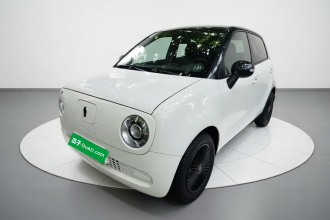 欧拉黑猫 2021款 301km 基础型
