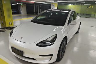 特斯拉 Model 3 2020款 改款 标准续航后驱升级版
