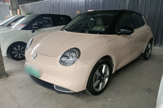欧拉好猫 2021款 400km标准续航 维纳斯版 三元锂