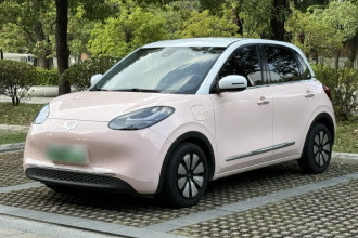 五菱汽车 五菱缤果 2023款 333km 灵犀互联+款