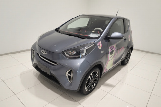 奇瑞QQ 小蚂蚁 2023款 251km 真爱版 磷酸铁锂