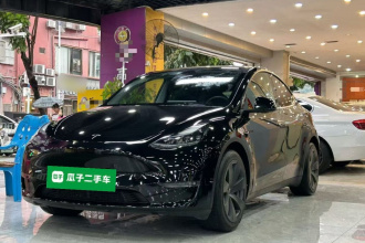 特斯拉 Model Y 2021款 标准续航后驱版