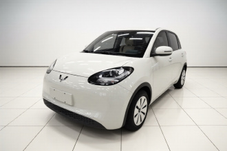 五菱汽车 五菱缤果 2023款 203km 轻享款