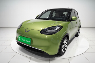 五菱汽车 五菱缤果 2023款 333km 悦享款