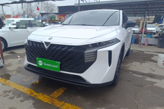 启辰大V 2024款 260T 新星版 Pro