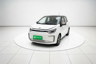 思皓 花仙子 2021款 302km 豪华型 31.4kWh