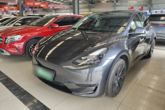 特斯拉 Model Y 2024款 后轮驱动版