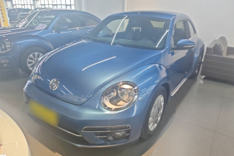 大众 甲壳虫 2018款 180TSI 宜乐型