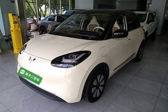 五菱汽车 五菱缤果 2025款 333km 悦享款