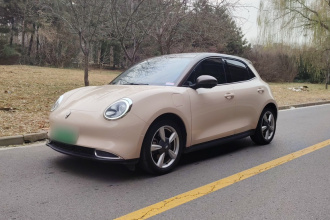 欧拉好猫 2023款 401km标准续航 尊贵型 磷酸铁锂