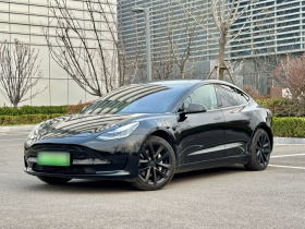 特斯拉 Model 3(进口) 2019款 标准续航后驱升级版(52度)