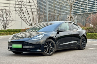 特斯拉 Model 3(进口) 2019款 标准续航后驱升级版(52度)