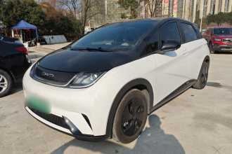 比亚迪 海豚 2023款 420km 时尚版