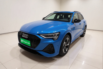 奥迪e-tron 2021款 50 quattro 臻选型