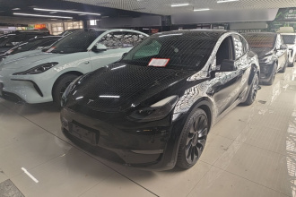 特斯拉 Model Y 2022款 Performance高性能全轮驱动版