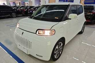 欧拉白猫 2020款 305km 豪华型