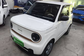吉利银河 2023款 熊猫mini 200km 耐力熊