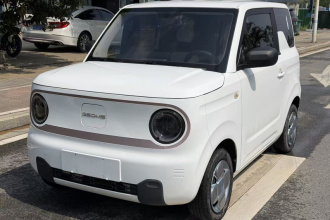 吉利银河 2023款 熊猫mini 200km 耐力熊