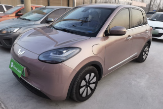 五菱汽车 五菱缤果 2023款 333km 悦享款