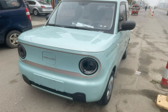 吉利银河 2023款 熊猫mini 200km 耐力熊