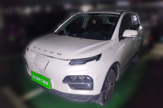 大运 悦虎 2021款 改款 32.85kWh 两驱精灵版