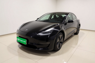特斯拉 Model 3 2019款 标准续航后驱升级版