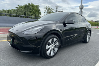 特斯拉 Model Y 2021款 标准续航后驱版