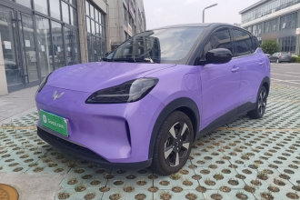 五菱汽车 五菱缤果PLUS 2024款 330km 五座版