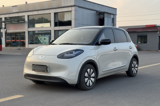 五菱汽车 五菱缤果 2024款 333km 悦享款