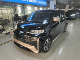 欧拉白猫 2022款 小野猫版 360km 豪华型 三元锂