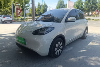 五菱汽车 五菱缤果 2024款 333km 悦享款