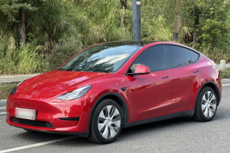 特斯拉 Model Y 2022款 后轮驱动版