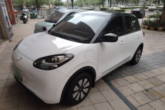 五菱汽车 五菱缤果 2024款 203km 轻享款