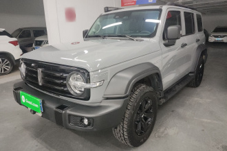 坦克300 2021款 越野版 2.0T 征服者