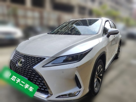 雷克萨斯RX 2020款 改款 300 两驱舒适版