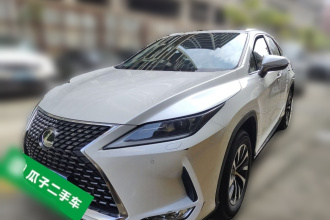 雷克萨斯RX 2020款 改款 300 两驱舒适版