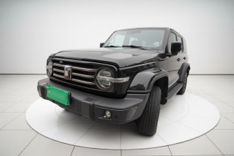 坦克300 2021款 城市版 2.0T 我看型