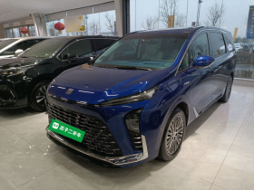 别克GL8新能源 2024款 陆尊 奢享版 6座