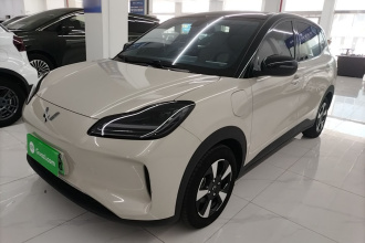 五菱汽车 五菱缤果PLUS 2024款 330km 五座版