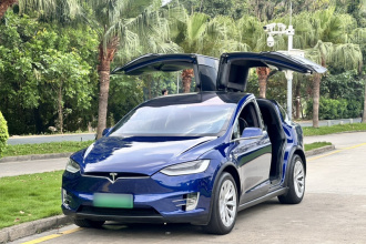 特斯拉 Model X 2019款 长续航版
