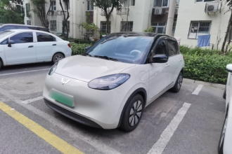 五菱汽车 五菱缤果 2024款 333km 悦享款