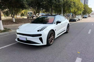 极氪001 2024款 WE版 95kWh 四驱