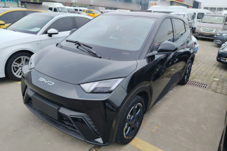 比亚迪 海鸥 2023款 飞翔版